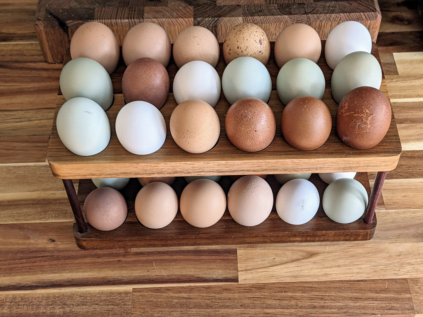 Farm Fresh Eggs by the dozen